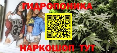 метадон Гай