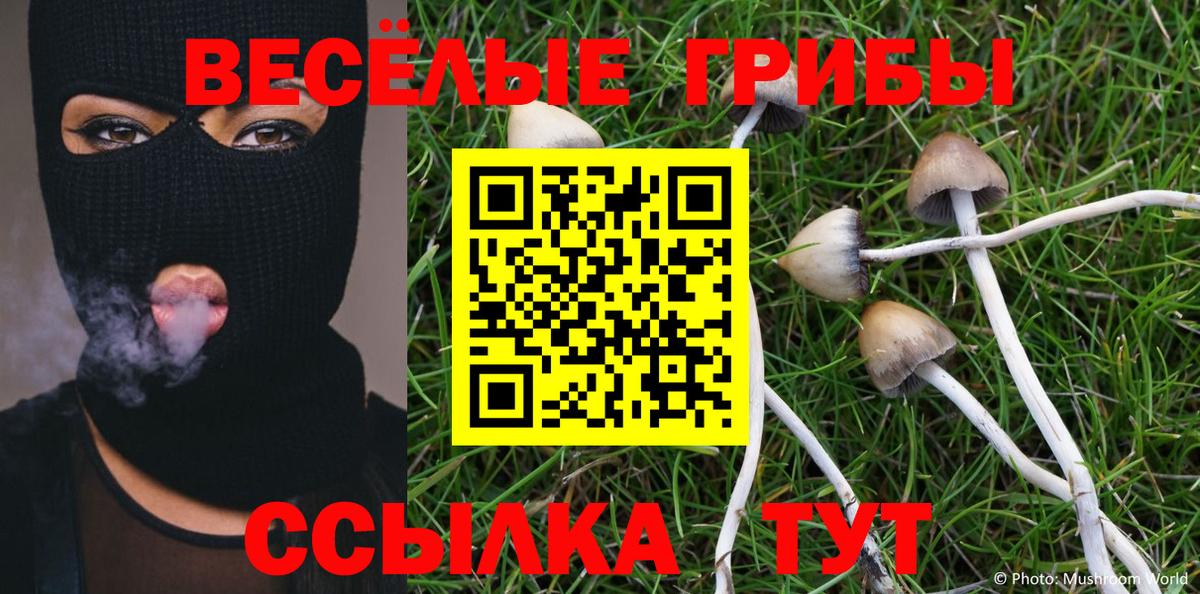 Галлюциногенные грибы GOLDEN TEACHER Старый Оскол