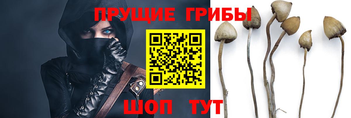 Старый Оскол  купить   Вход с VPN  Псилоцибиновые грибы Magic Shrooms 